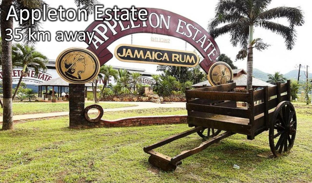 Loodik Vacation Home Brompton Manor ブラック・リバー エクステリア 写真